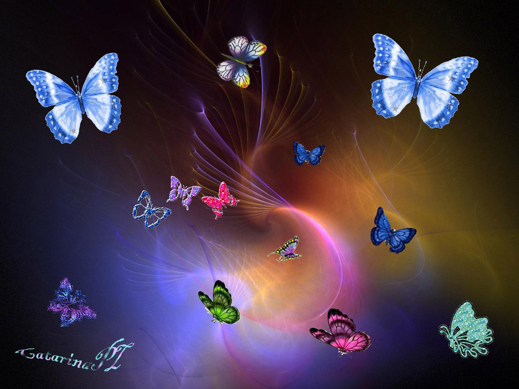 Flies Butterflies Wallpaper