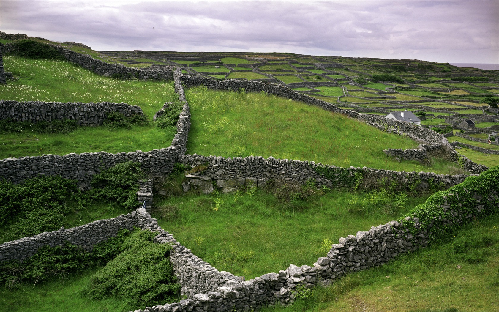 Beautiful scenery of Ireland wallpaper 2   1680x1050 Wallpaper