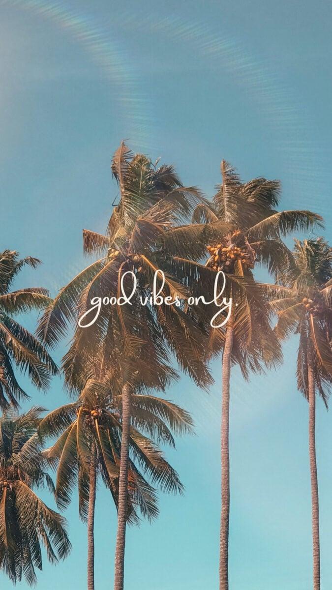 Cool Vibes Wallpaper