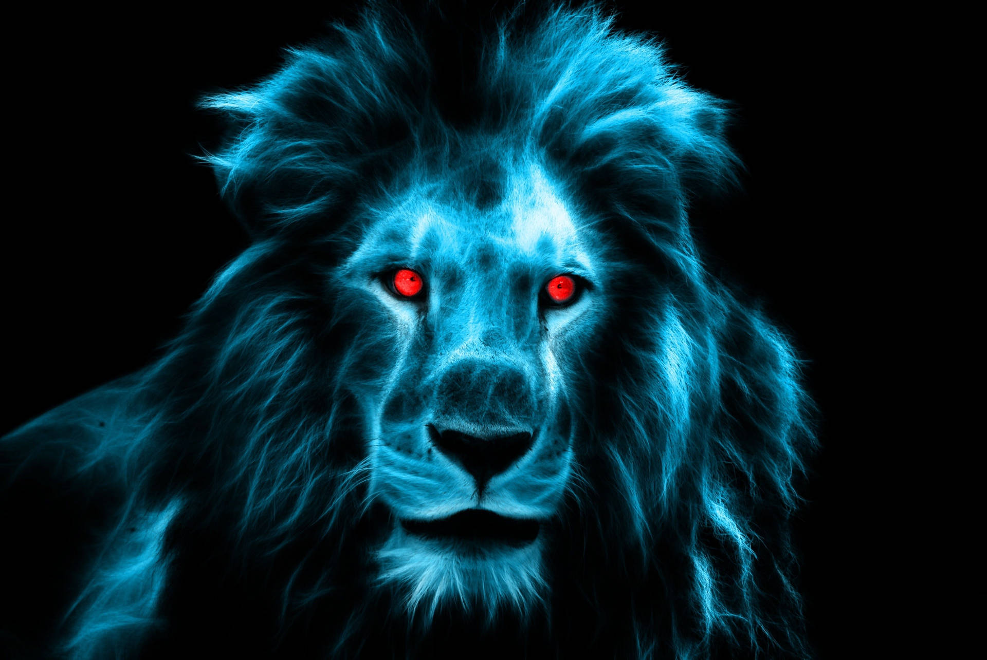 Lion Head Wallpaper