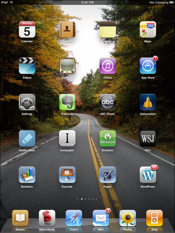 Free download picasa to create your ipad wallpapers d 225x300 Use Picasa to Create [600x799] for