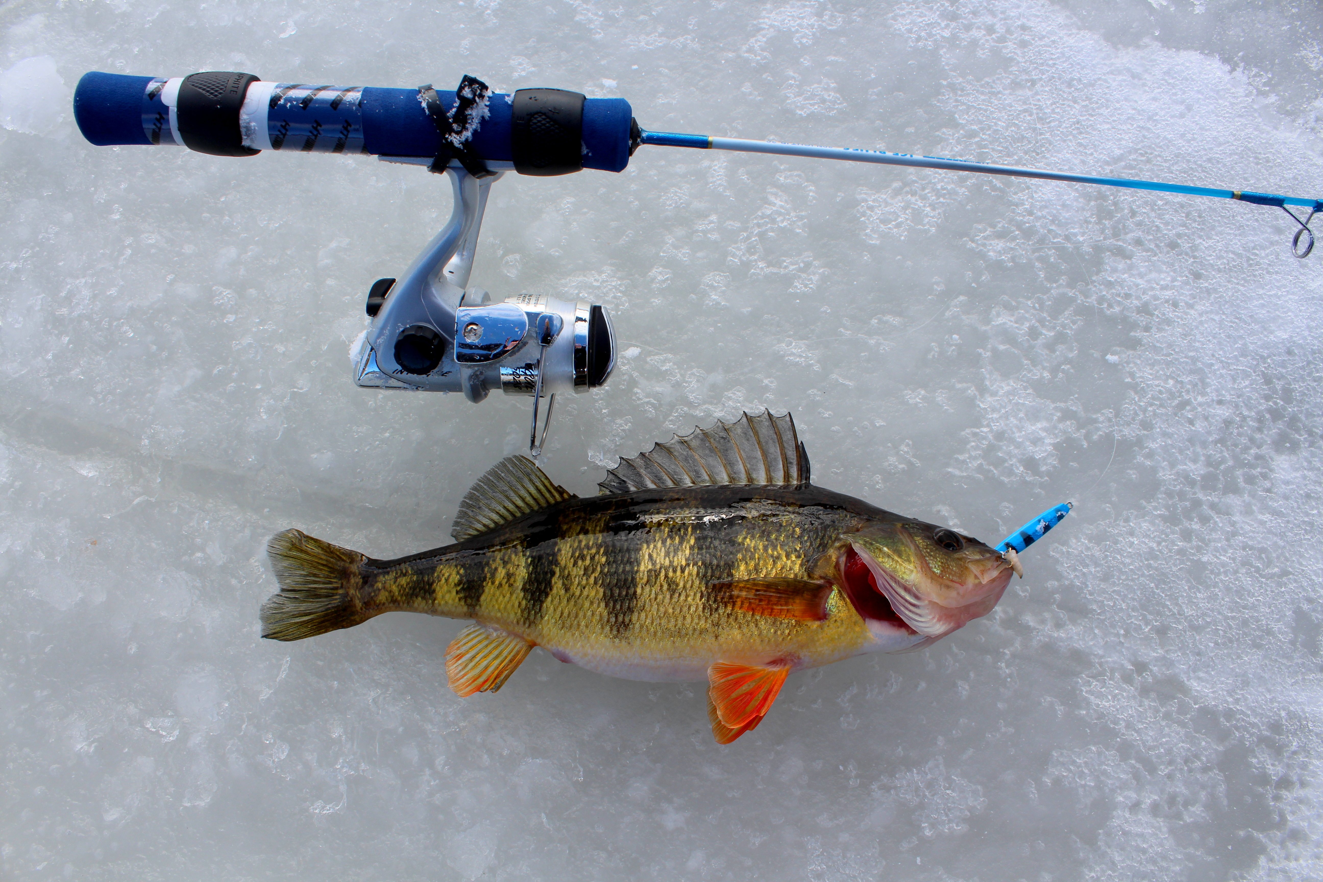 Fishing Fish Sport Water Fishes Winter Lake Ice Wallpaper Background