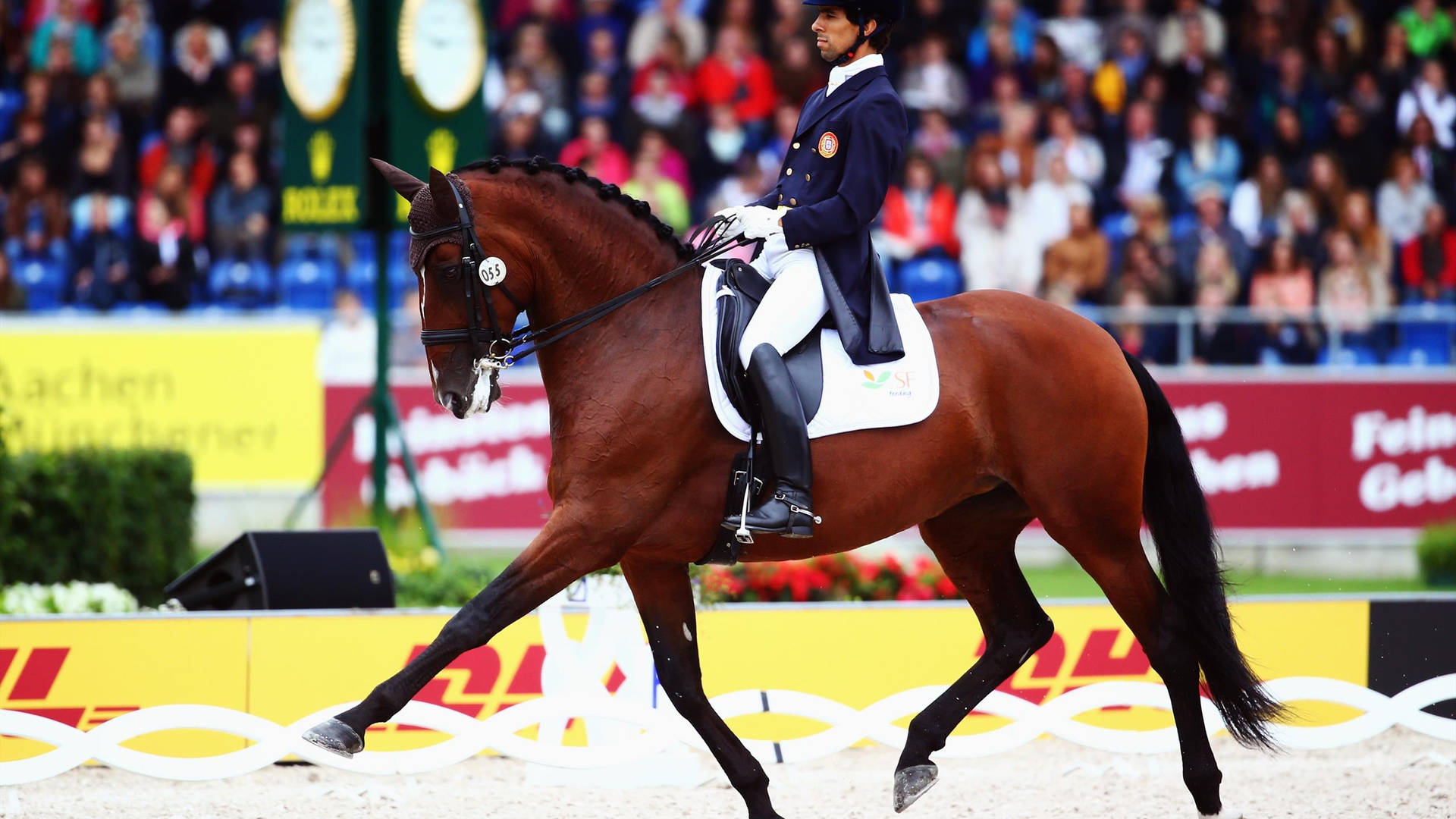 Equestrian Goncalo Carvalho Horseback Riding Tokyo Wallpaper
