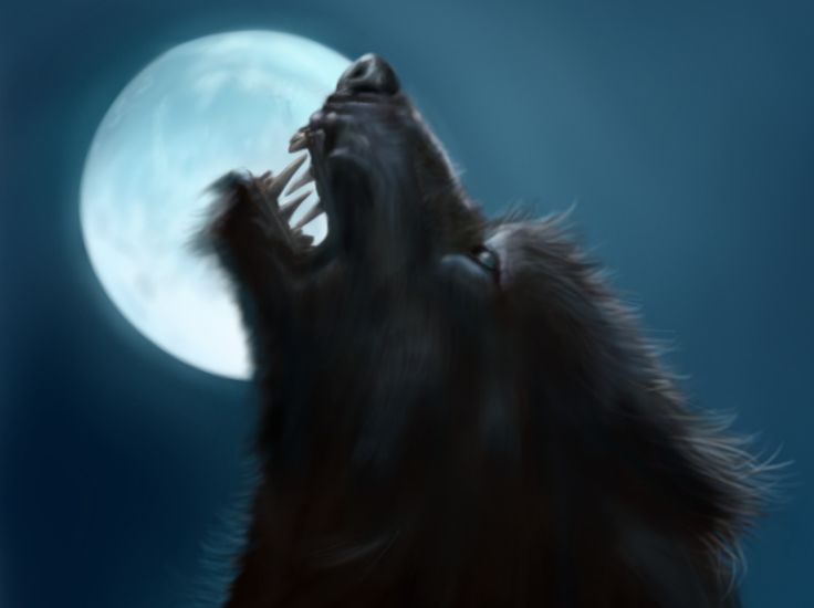 Wolf Moon Werewolf Jpg Bark Bing Werewolves