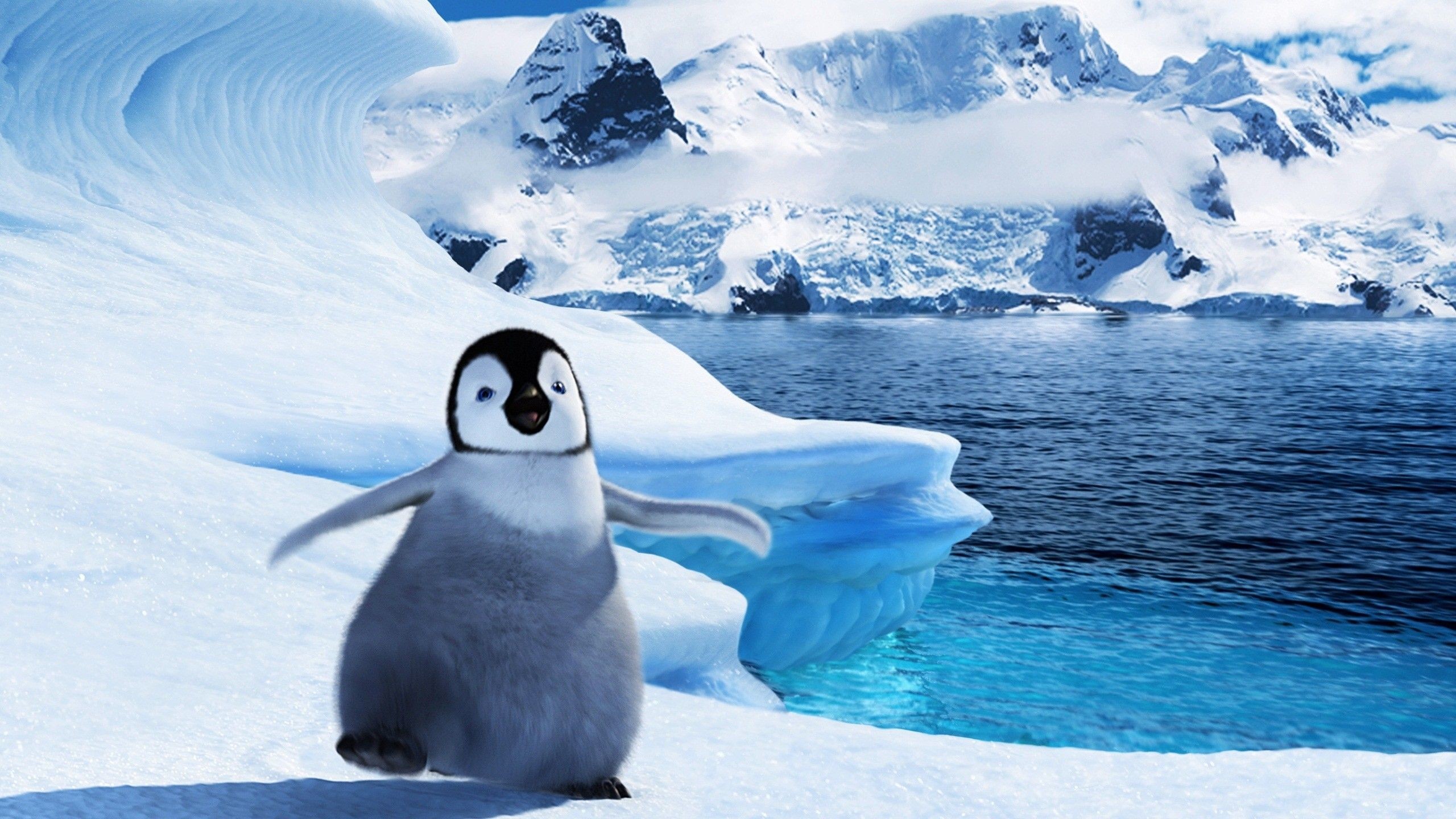 Penguin Background Pictures All White