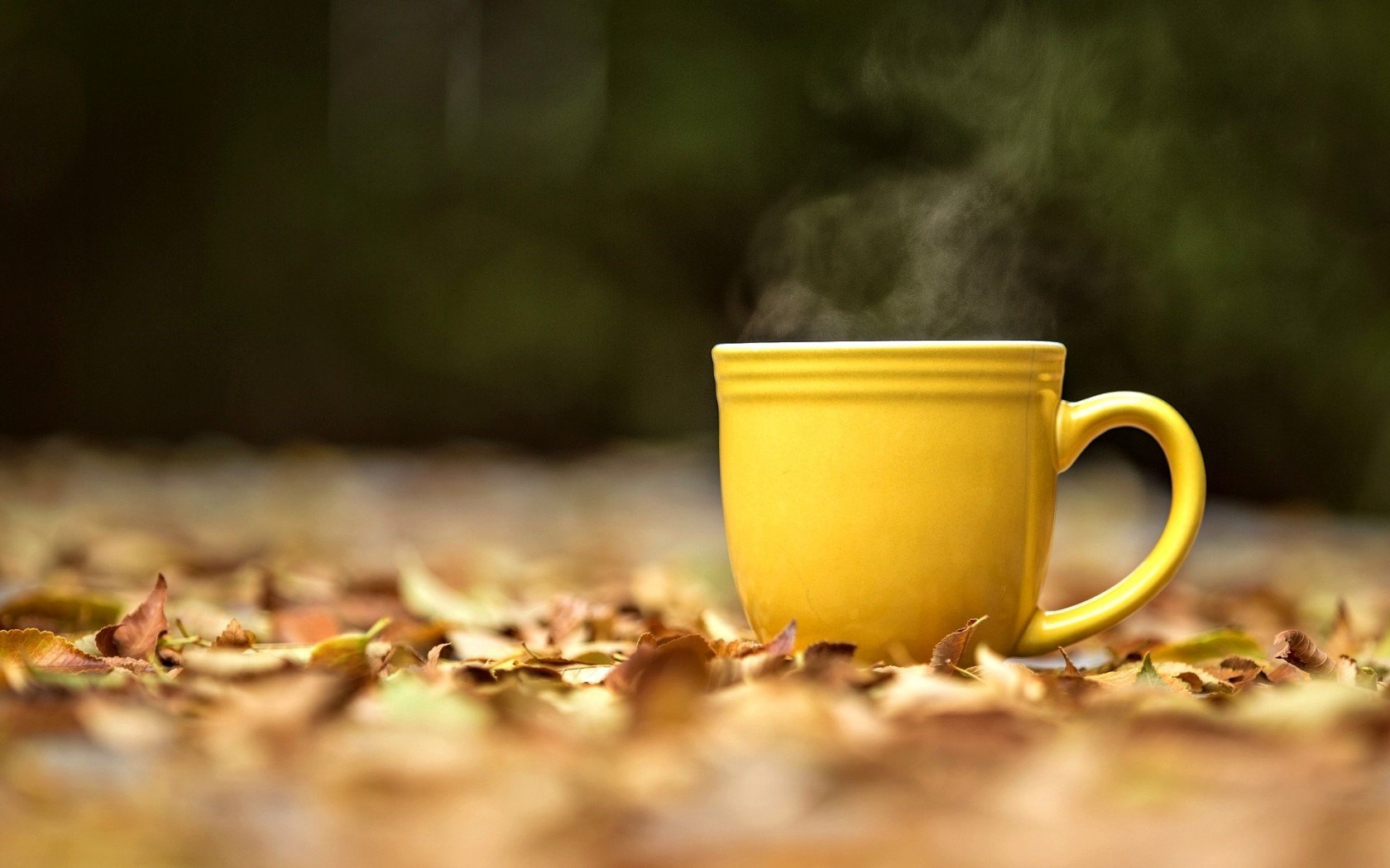 Mood Mug Cup Yellow Hot Tea Leaves Autumn HD Wallpaper