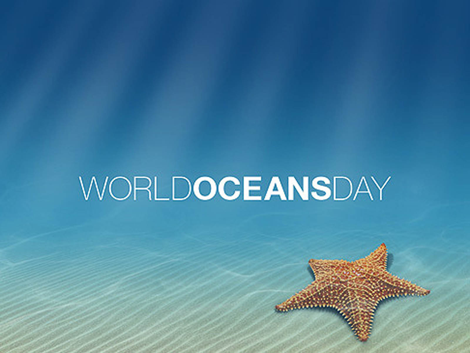 World Oceans Day Wallpaper Atoz Desktop