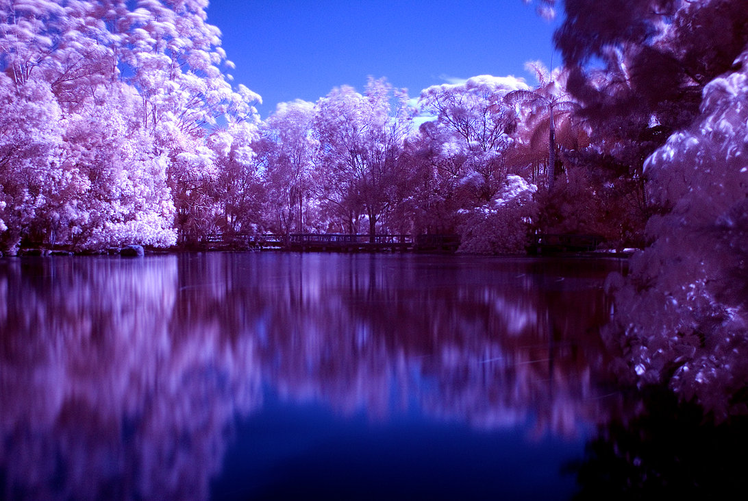 Purple Landscape Wallpaper