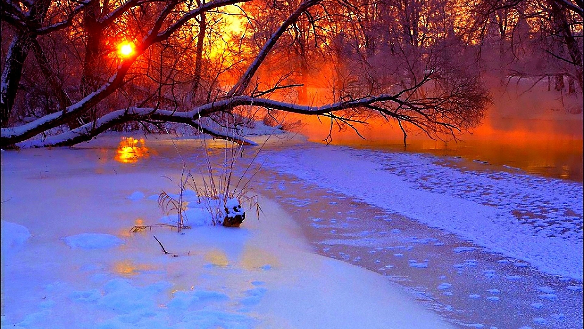 Winter Wallpaper