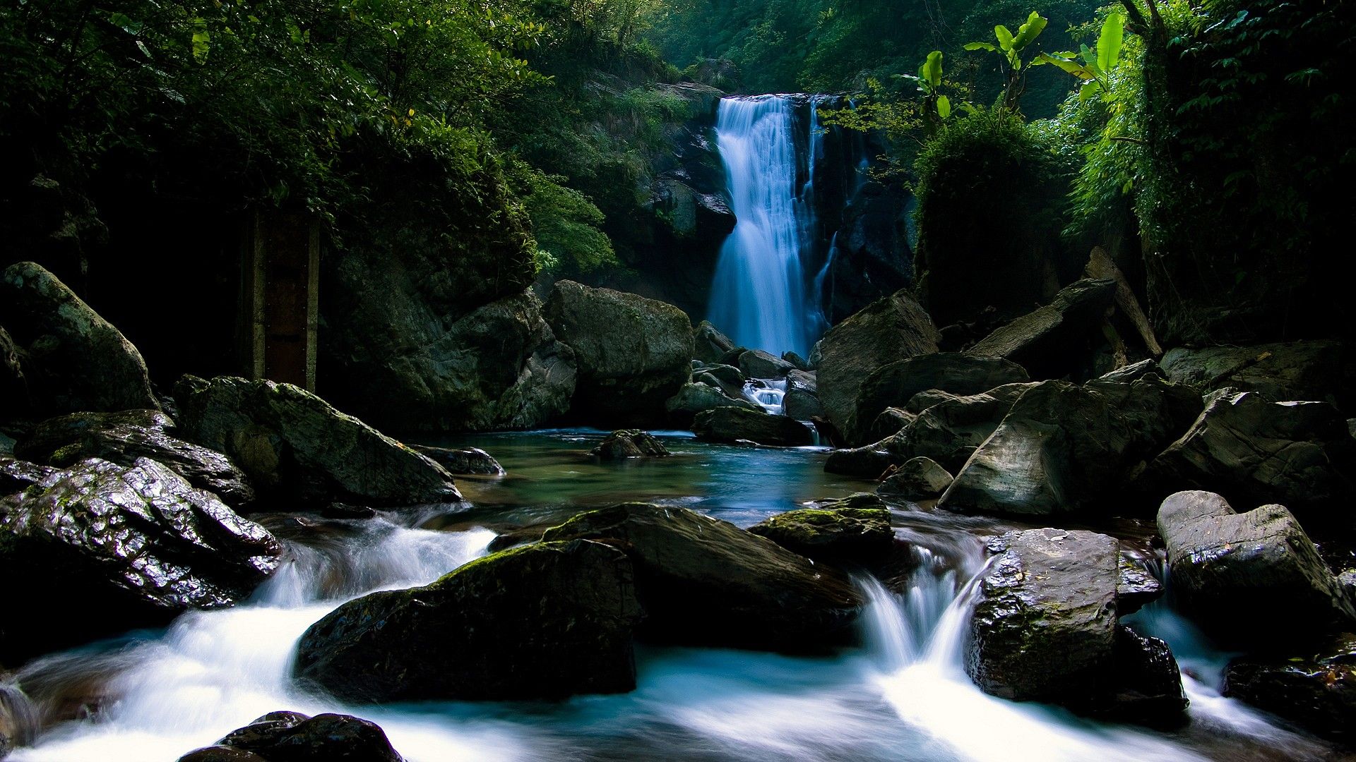 A mesmerizing waterfall cascades down moss-covered rocks in a lush, vibrant forest, creating a tranquil nature scene