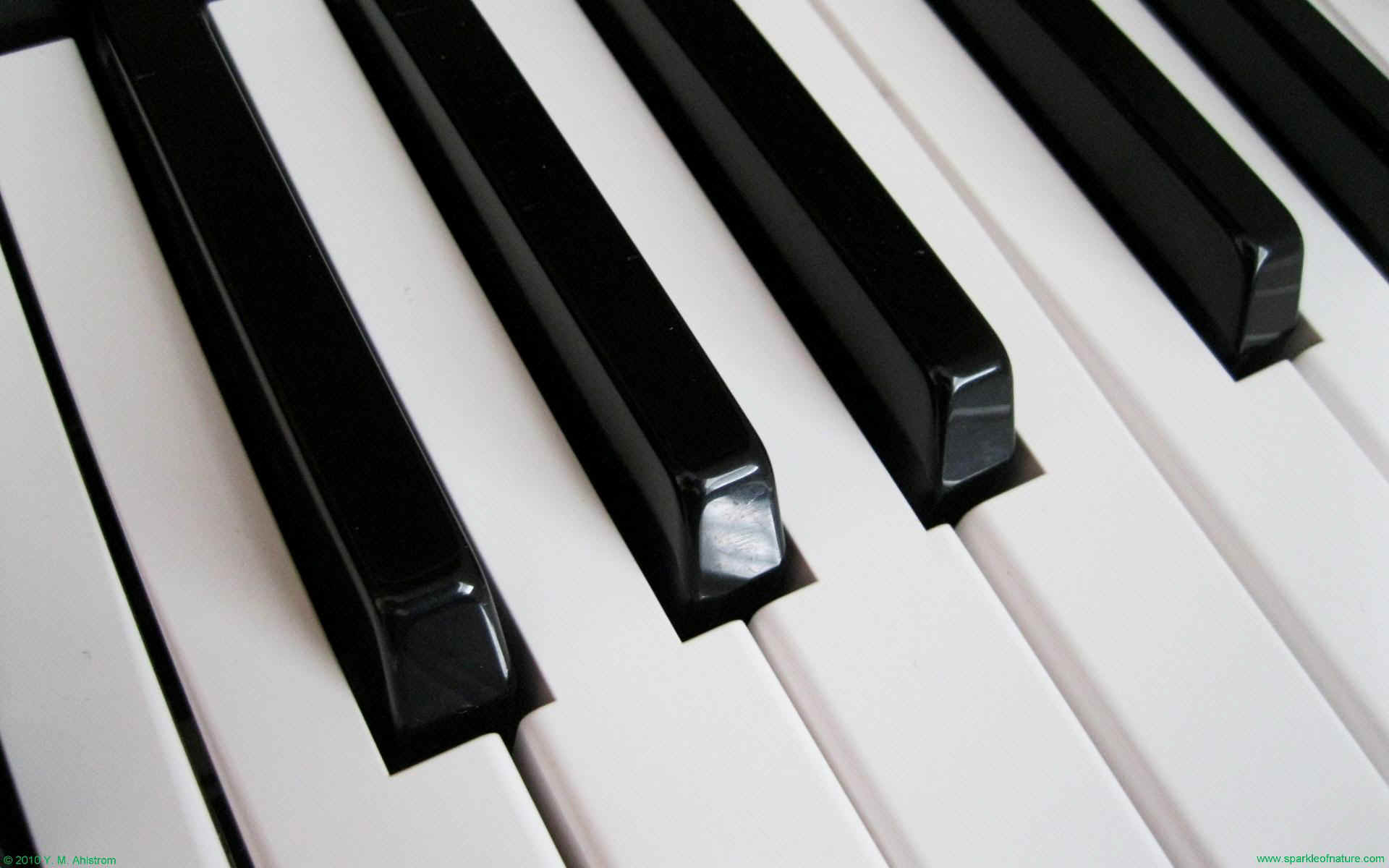 Piano Keys wallpaper   552021