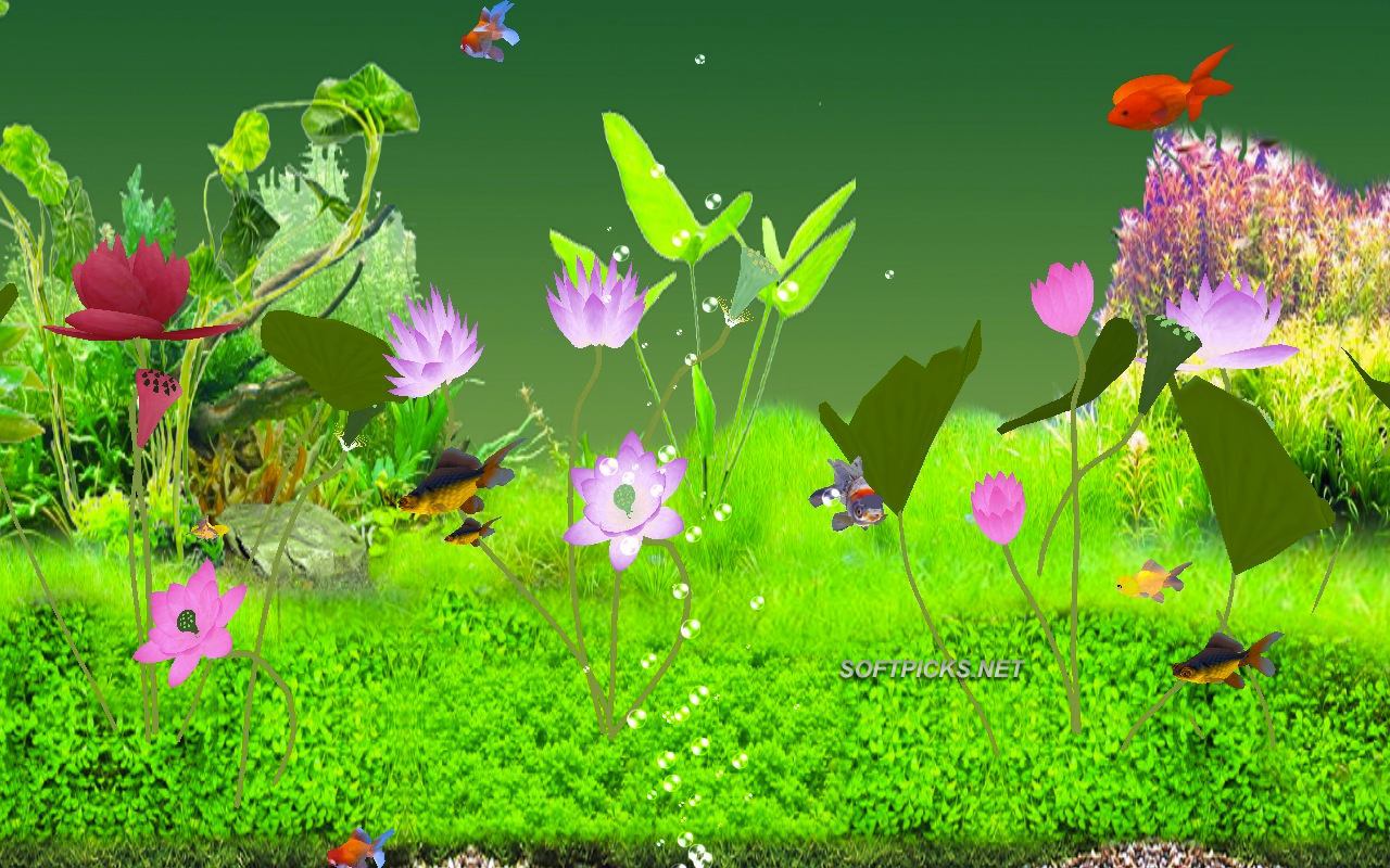 Digital Goldfish Screensaver Catture Schermo Galleria Immagini