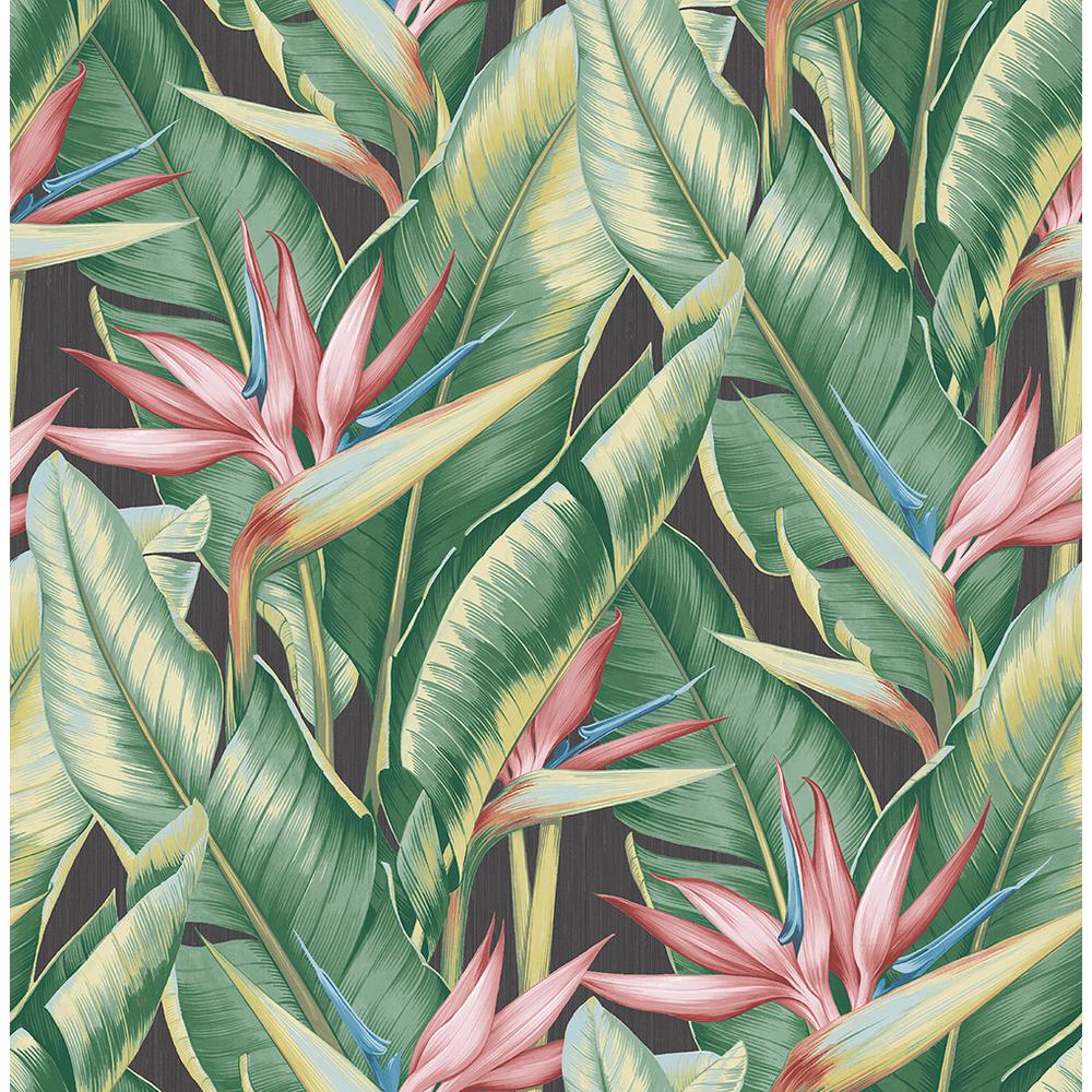 Kenh James Arcadia Pink Banana Leaf Wallpaper Sample Ps40201sam