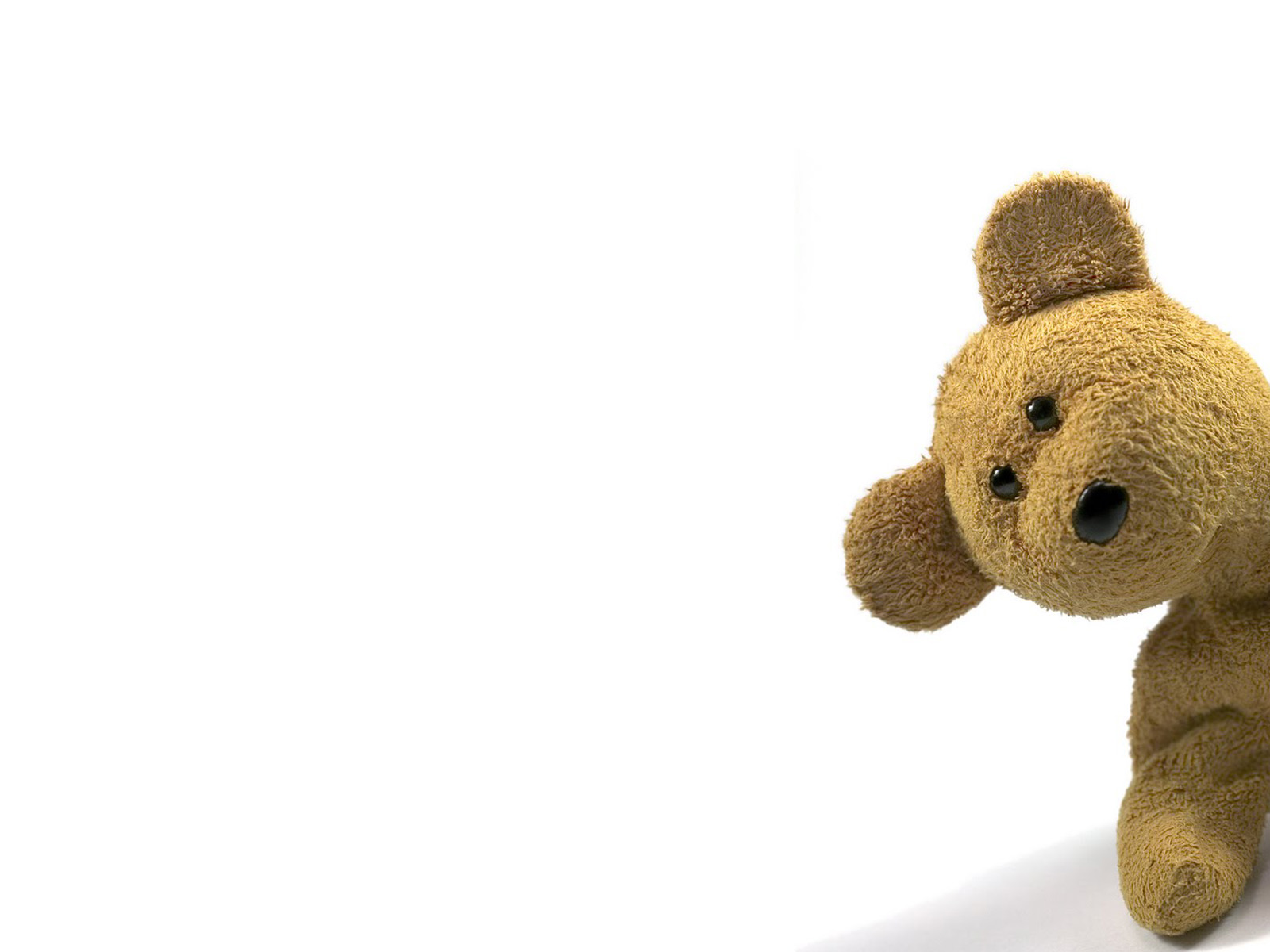 Wallpaper Funny Teddy Bears For Your Desktop Background