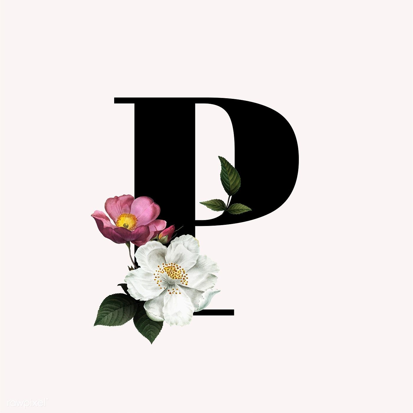 Classic And Elegant Floral Alphabet Font Letter P Vector Wallpaper