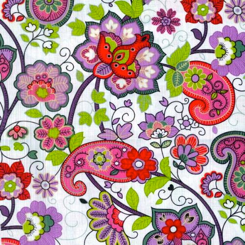 Paisley Print Background Belize On White By
