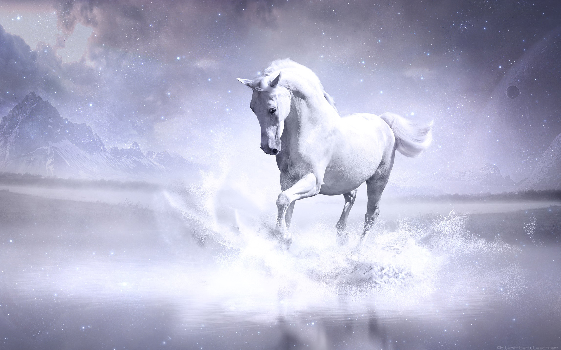 White Horse Wallpaper