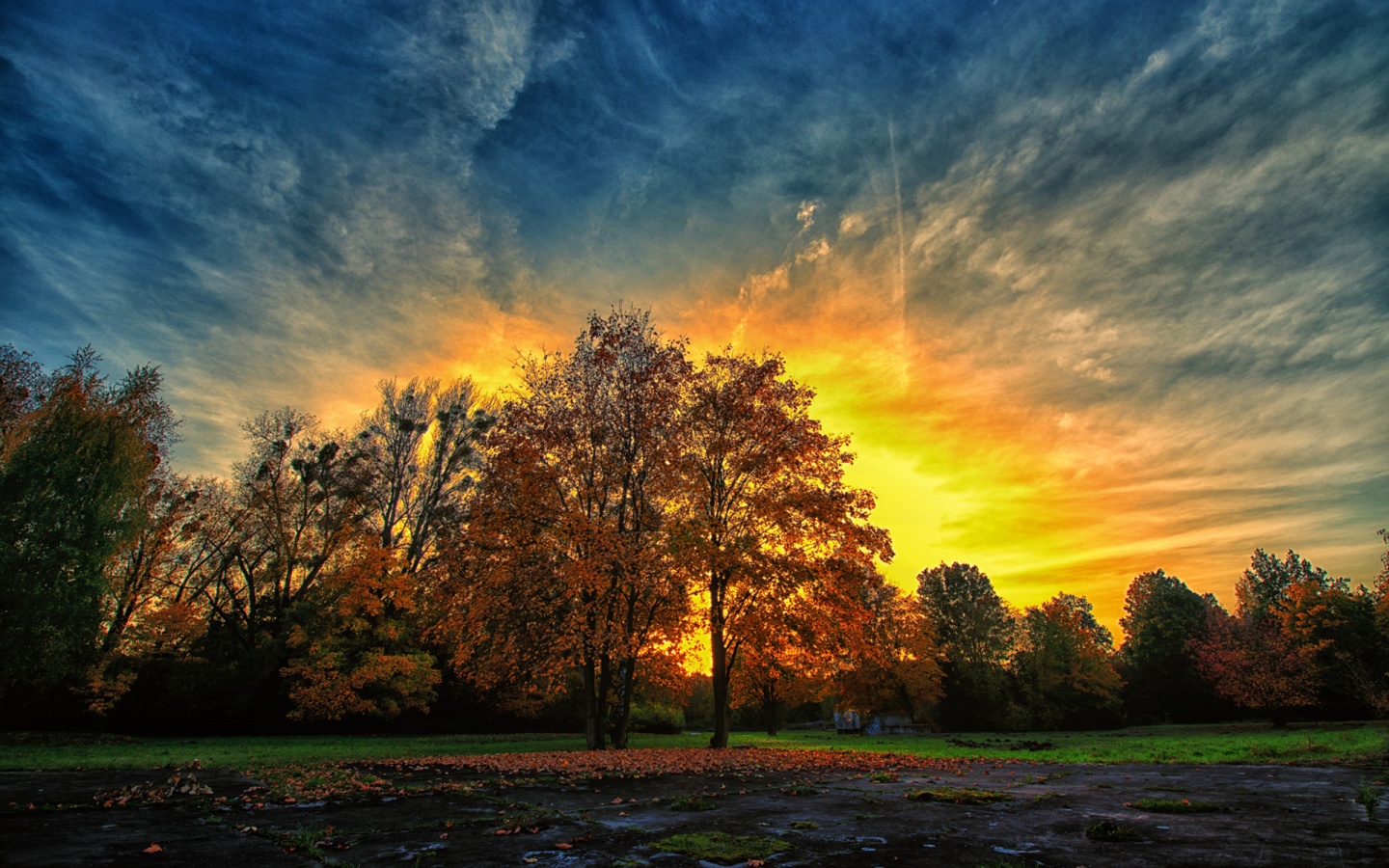 Autumn Sunset Colorful Trees Wallpaper For X Resolution