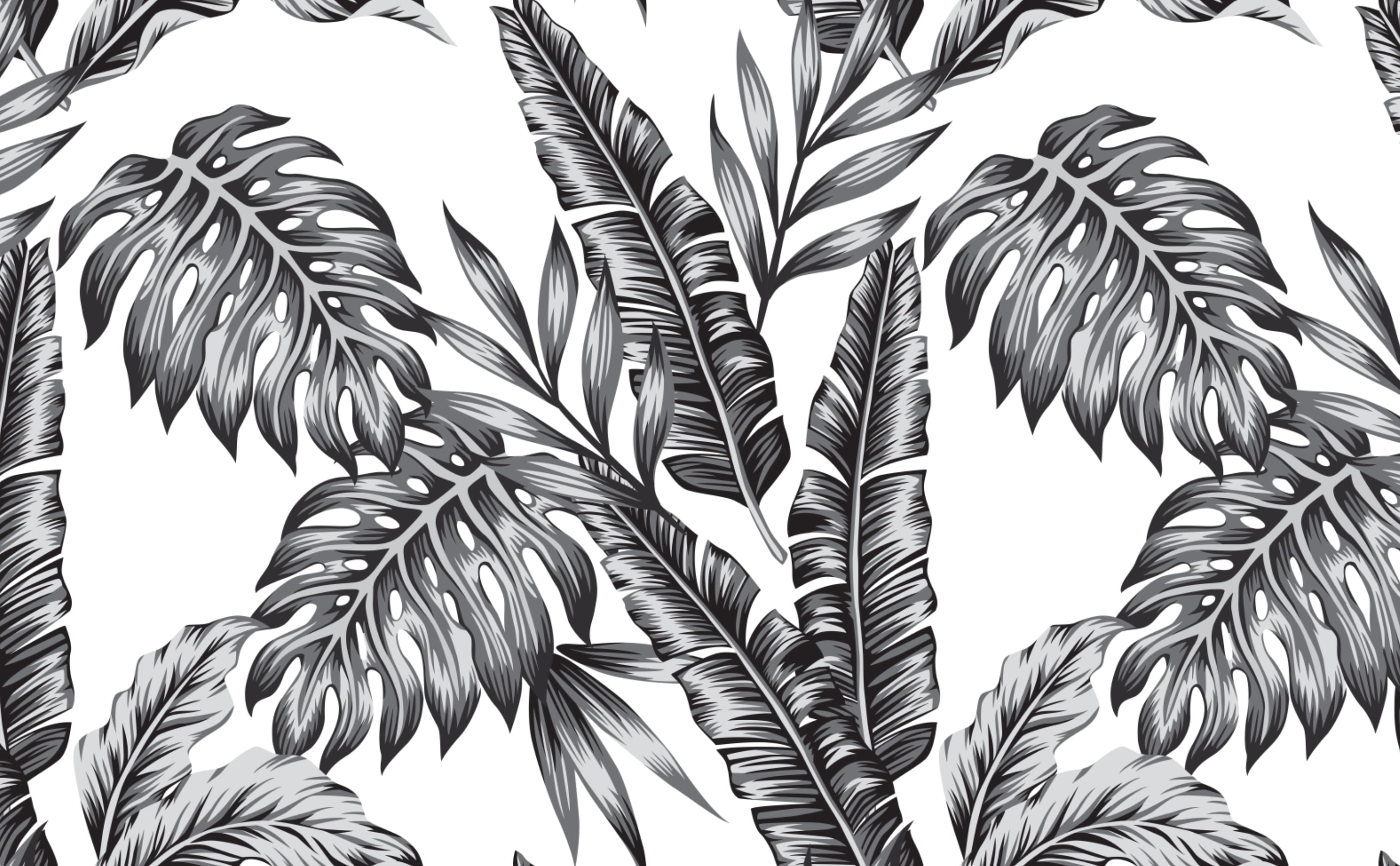 Palm Leaves Tropical Wallpaper For Walls Retro Palms Black