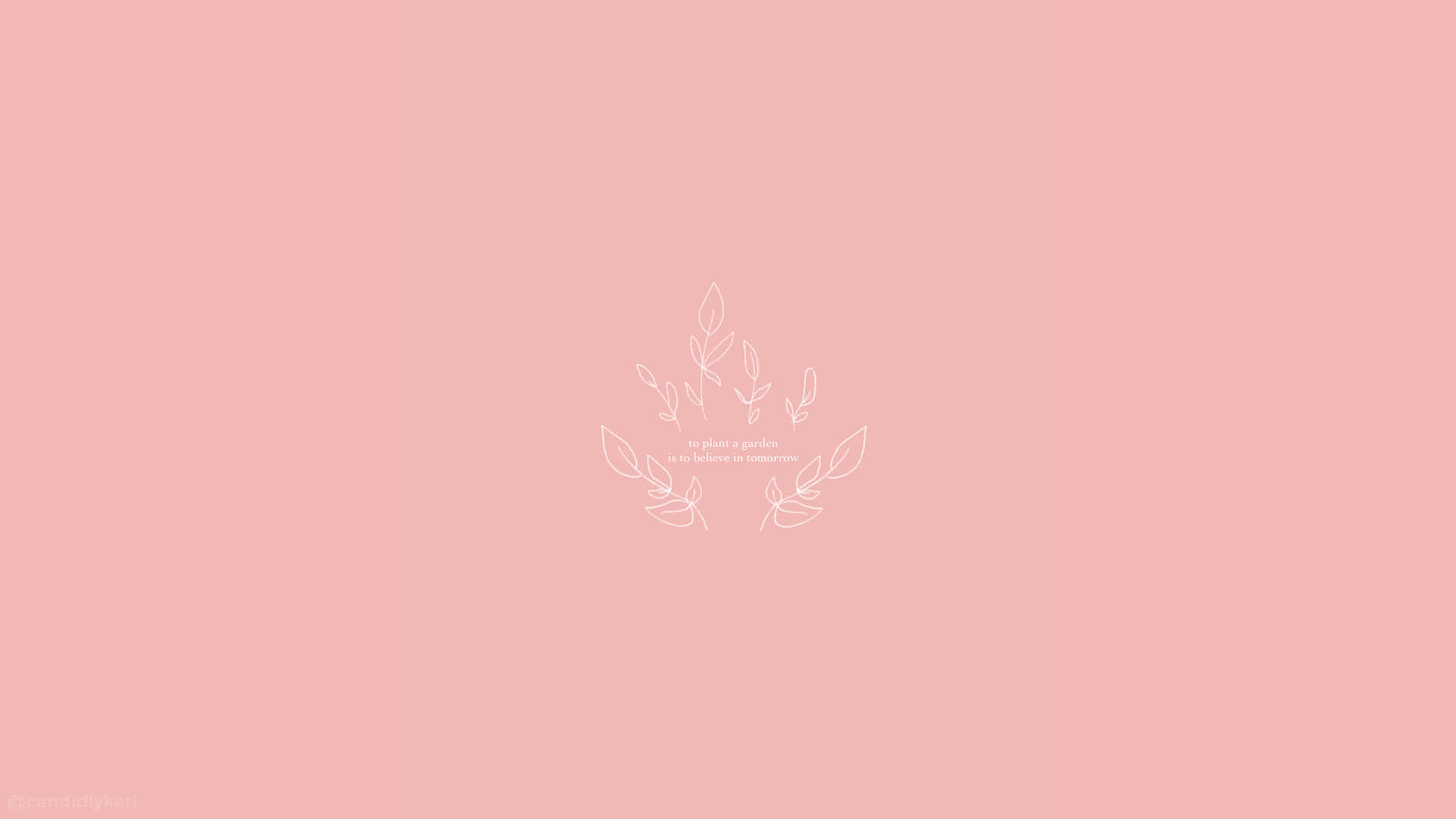 Peach Aesthetic Background Wallpaper