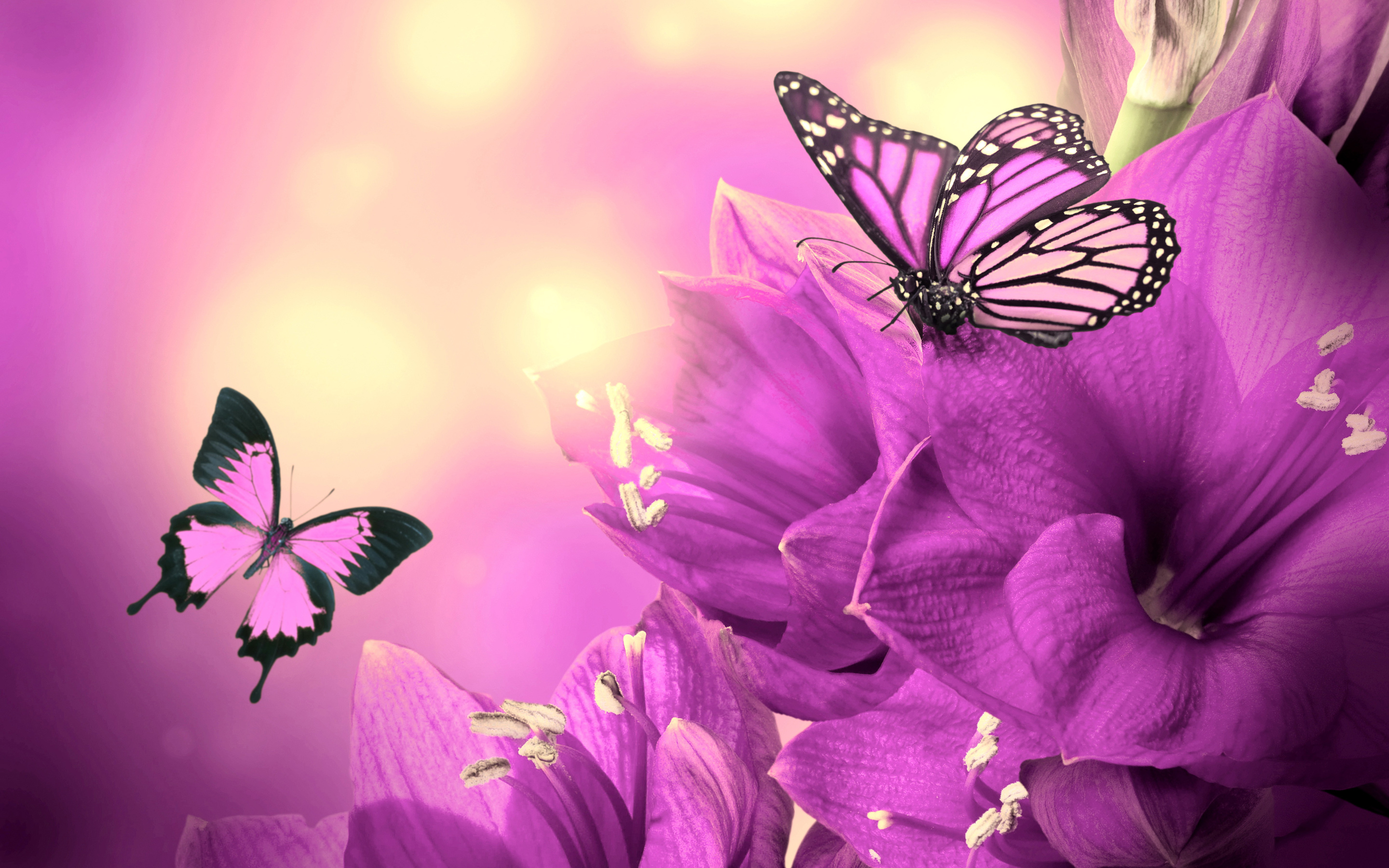 Purple Flowers Butterflies Wallpaper
