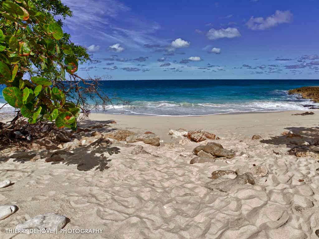 Beautiful Beach Picture Tropical Wallpaper