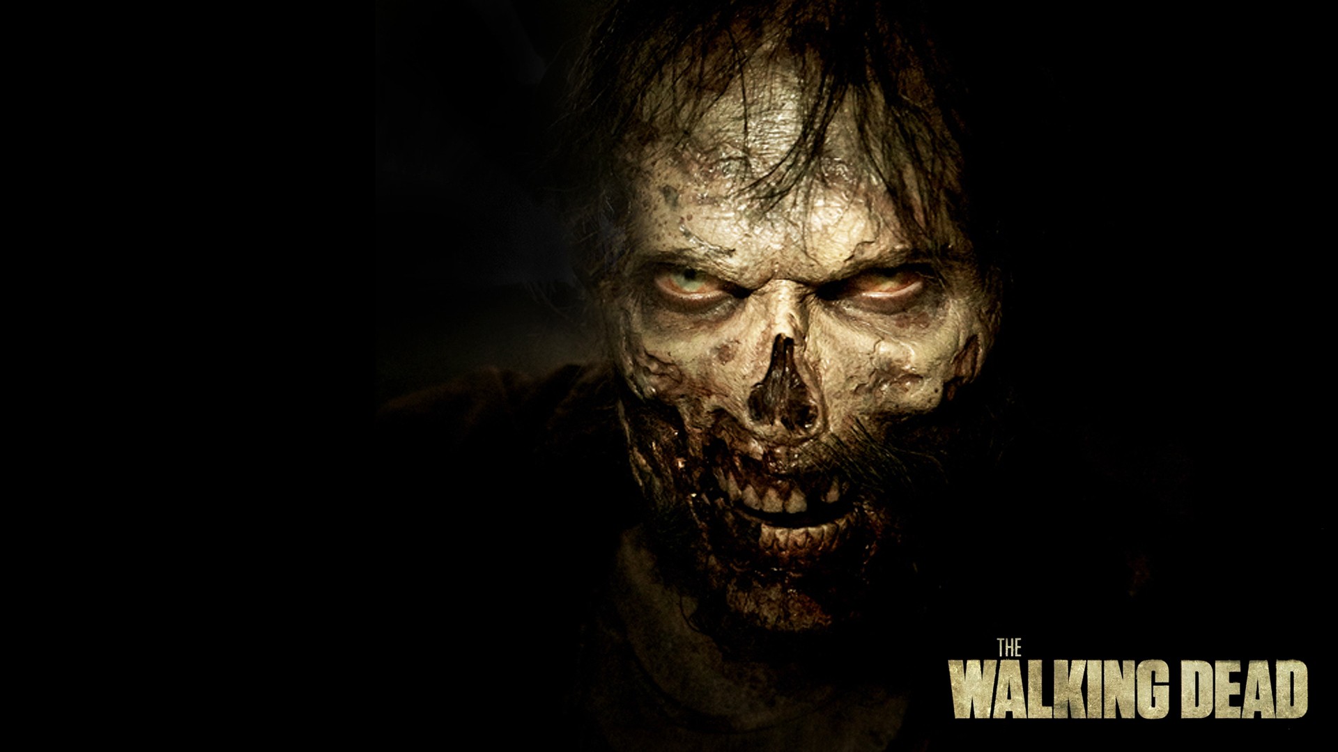 The Walking Dead saison 6   univers series