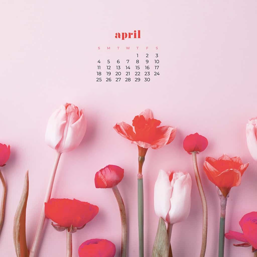 April Calendar Wallpaper Cute Design Options