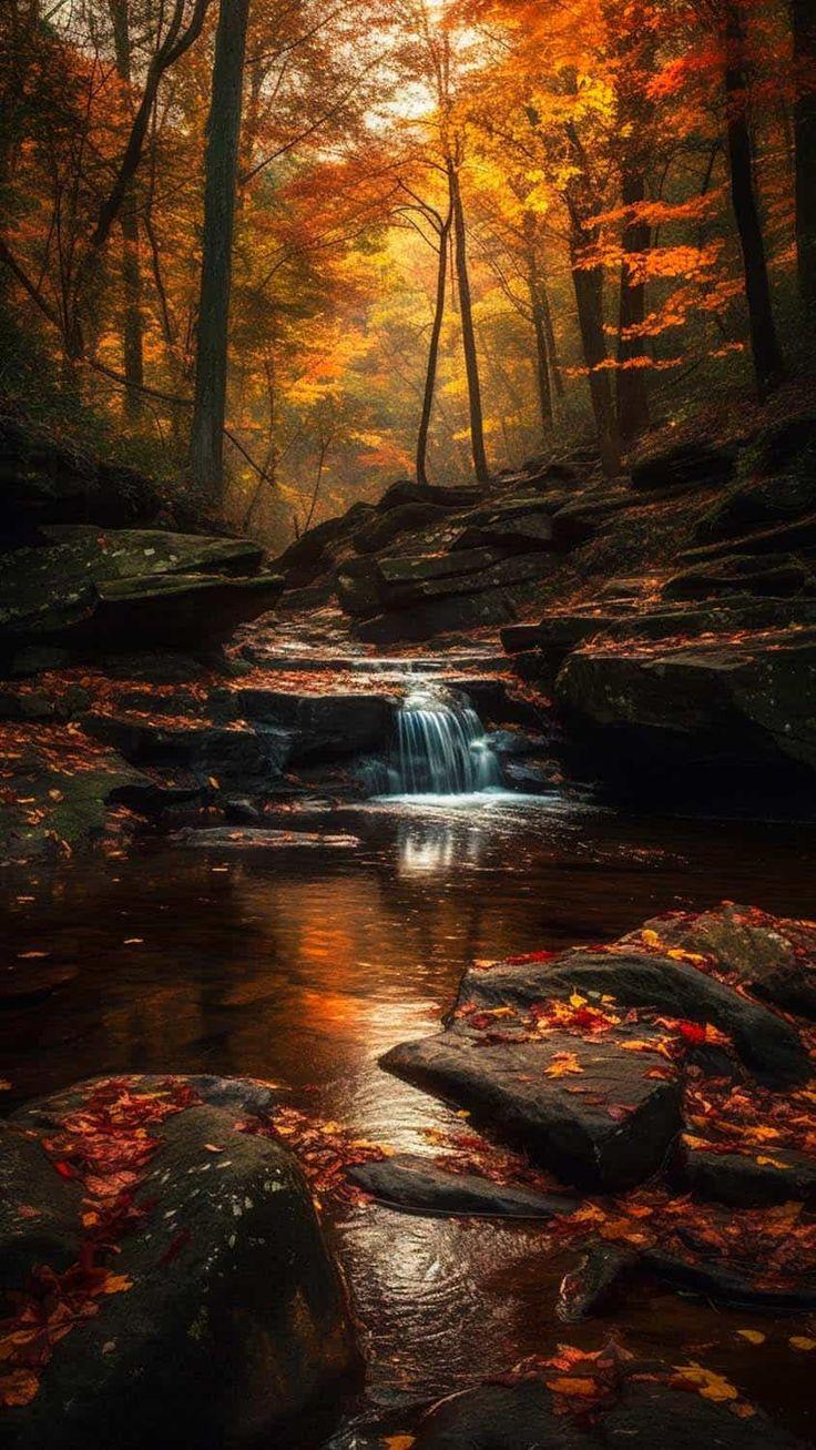 Autumn Rocks Waterfall iPhone Wallpaper