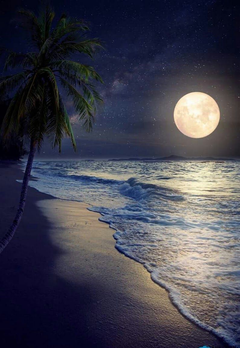 Moon