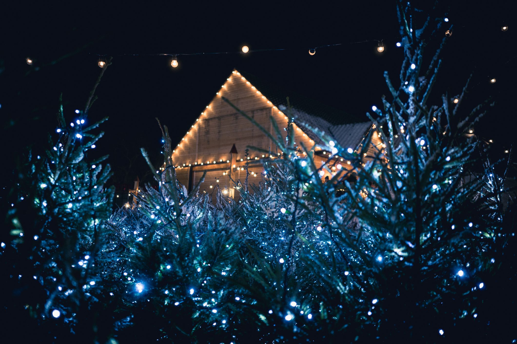 Beautiful Christmas Lights Wallpaper