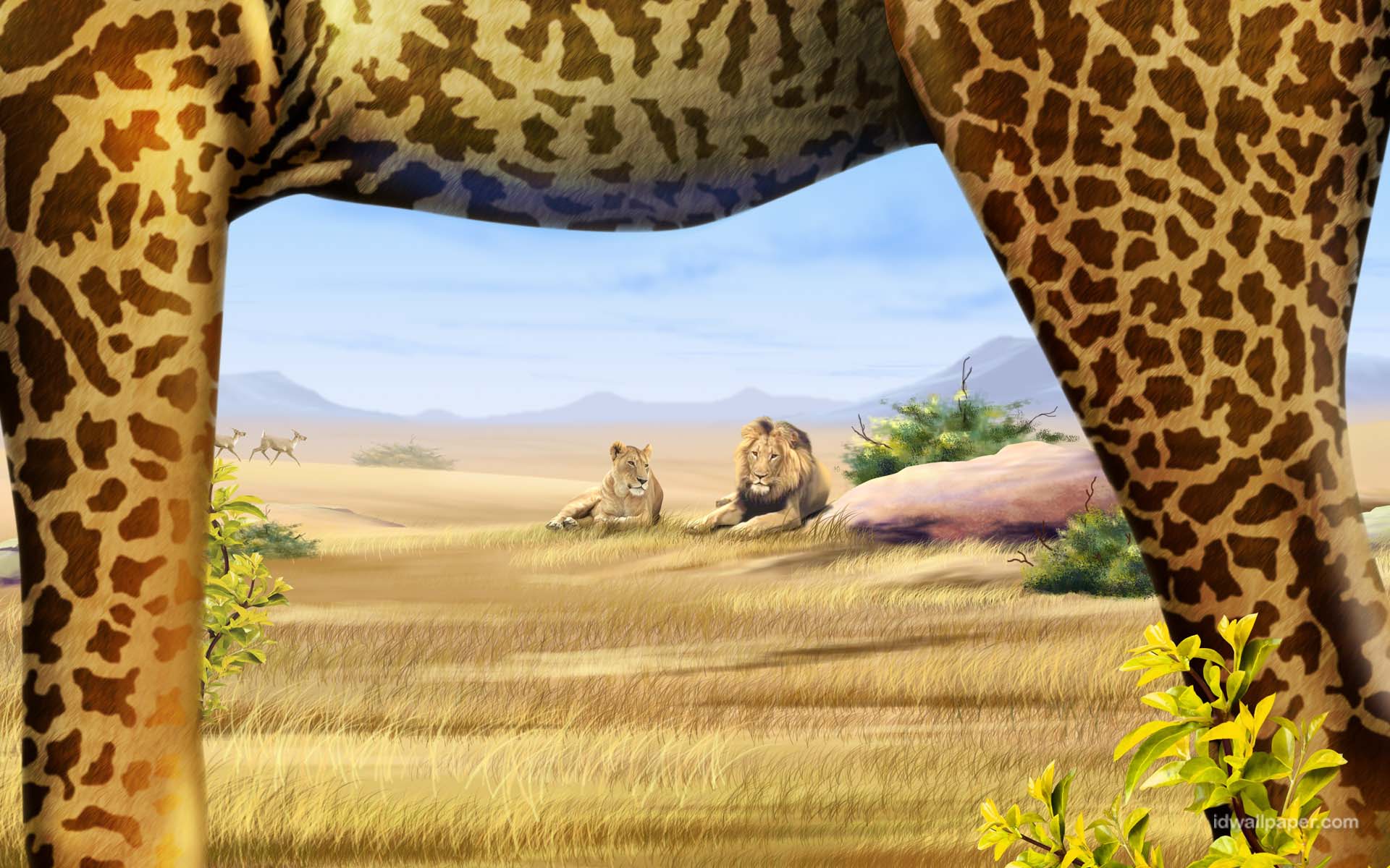 Safari HD Wallpaper Background