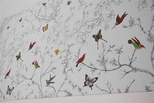 Butterfly Birds Wallpaper Picswallpaper