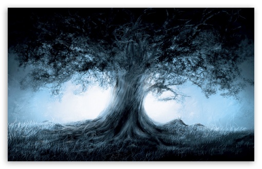Tree Of Heaven HD Wallpaper For Standard Fullscreen Uxga Xga