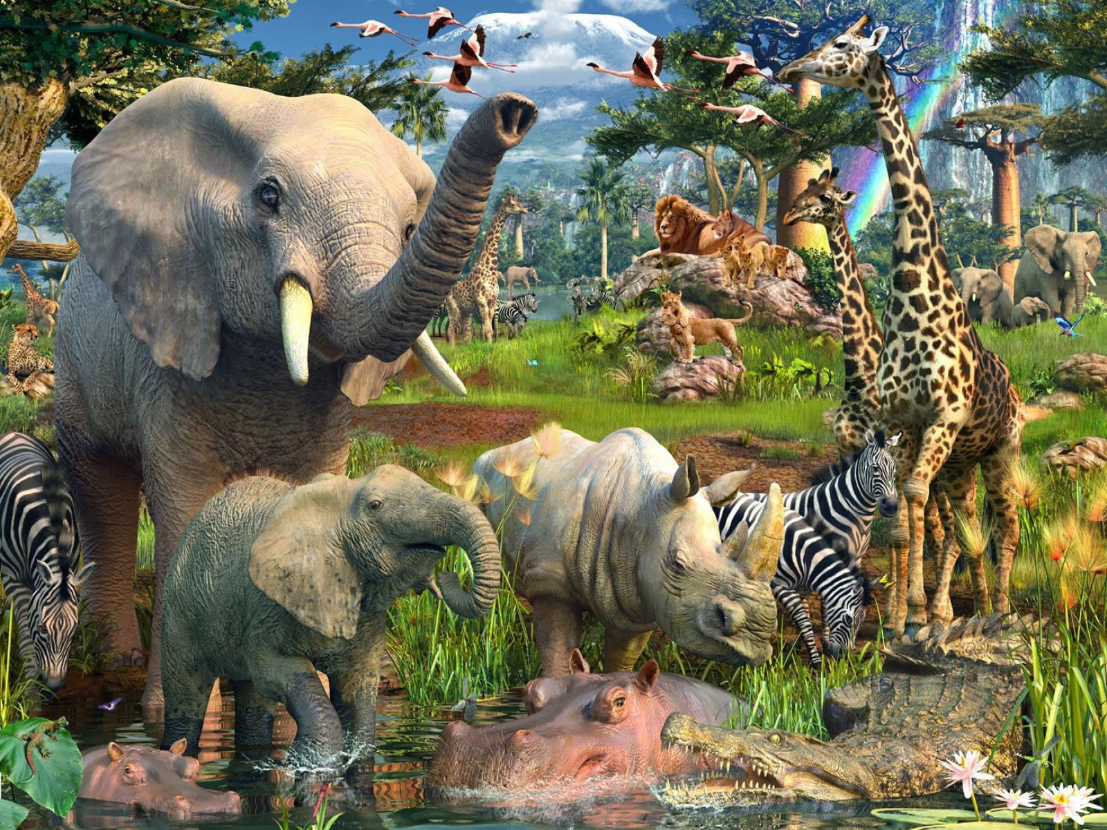 Jungle Animals HD Wallpaper