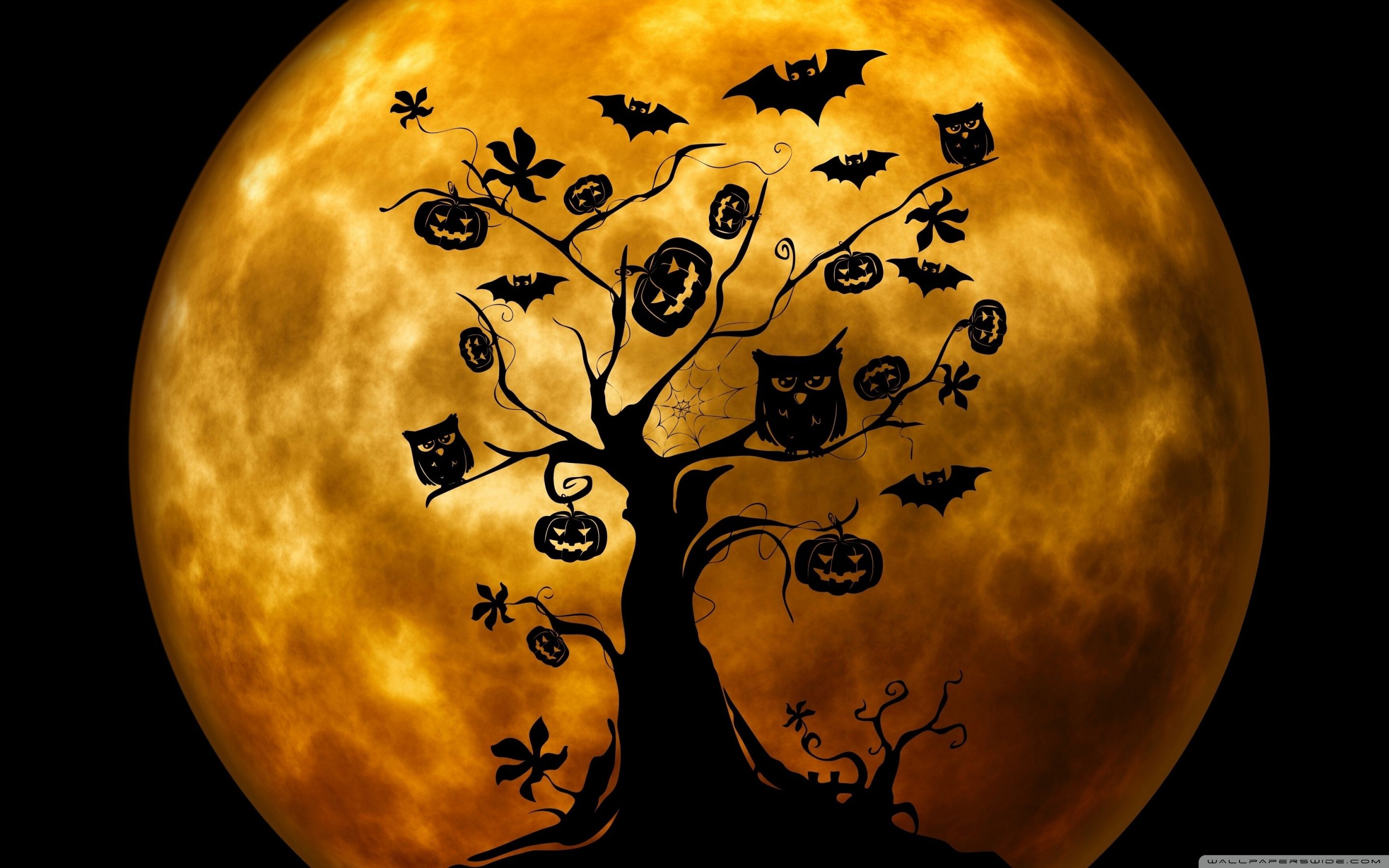Halloween Owl Wallpaper Top Background