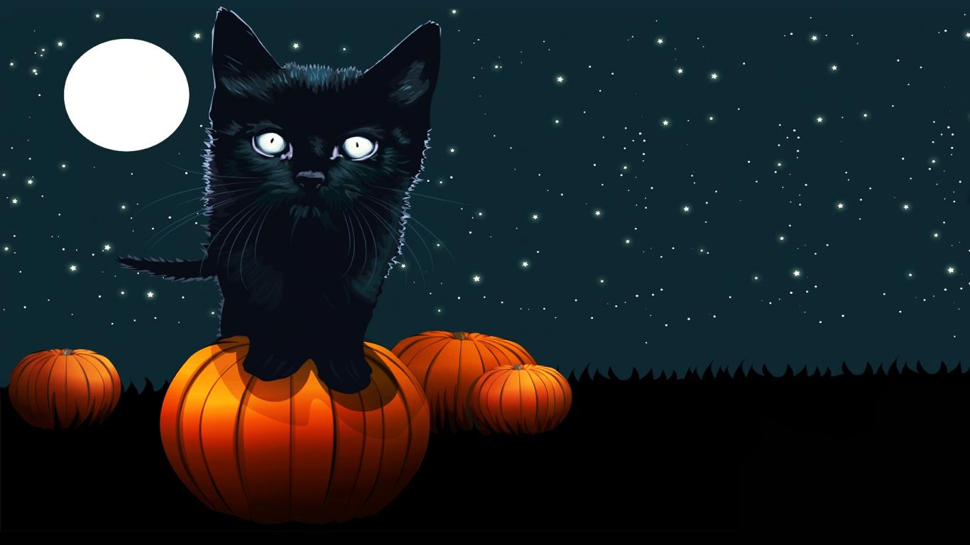 Halloween Wallpaper Black Cat Best Background