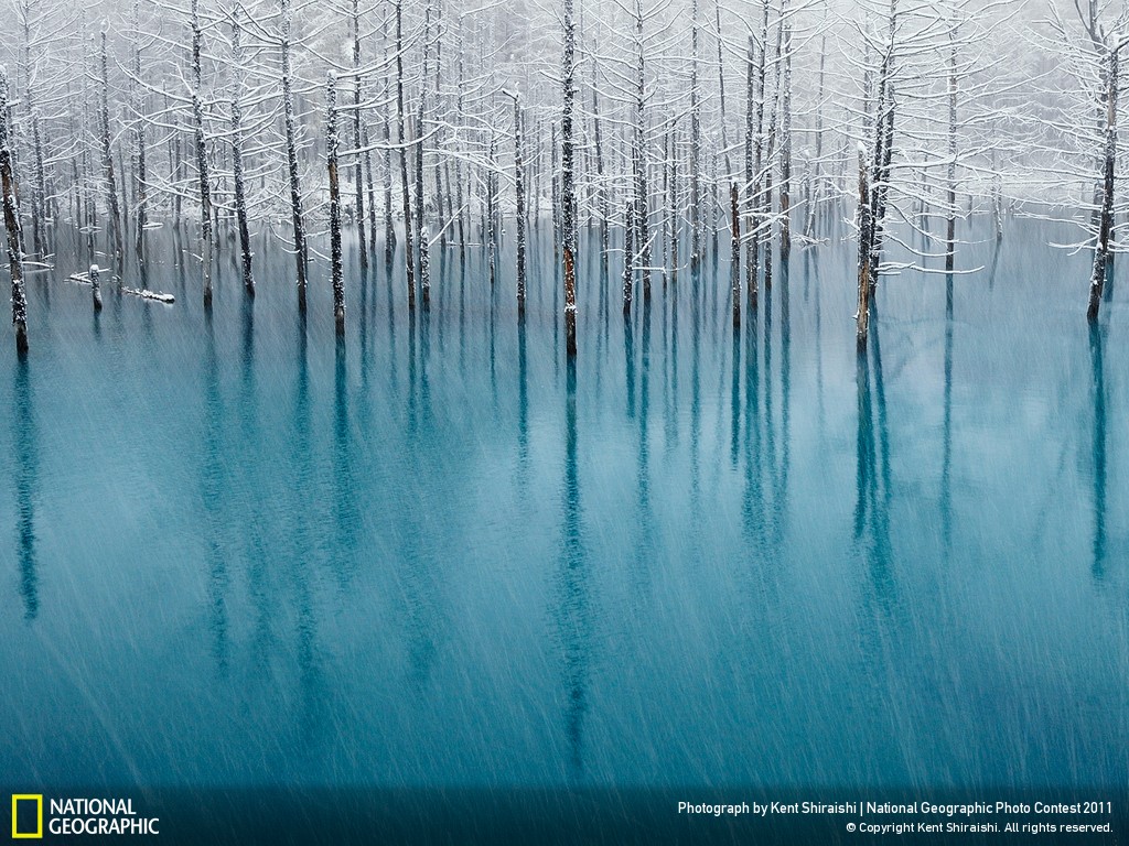Nature Winners Gallery National Geographic Photo Contest