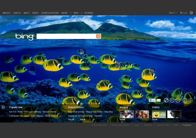 Bing Photos Now Able As Full Screen Wallpaper