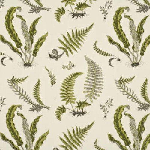 Ferns Cotton Fabric Alexander Interiors Designer Wallpaper