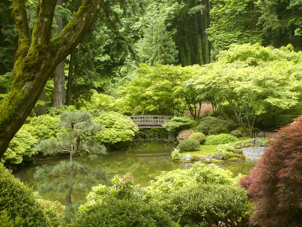 Japanese Zen Gardens By Ebazz8305