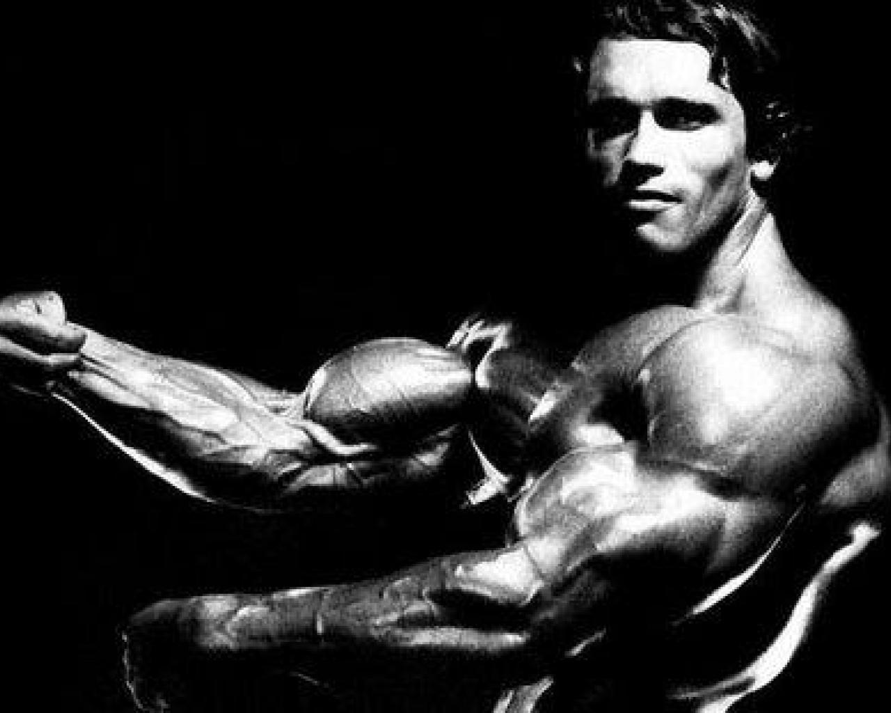 48+] Arnold Schwarzenegger Wallpapers - WallpaperSafari