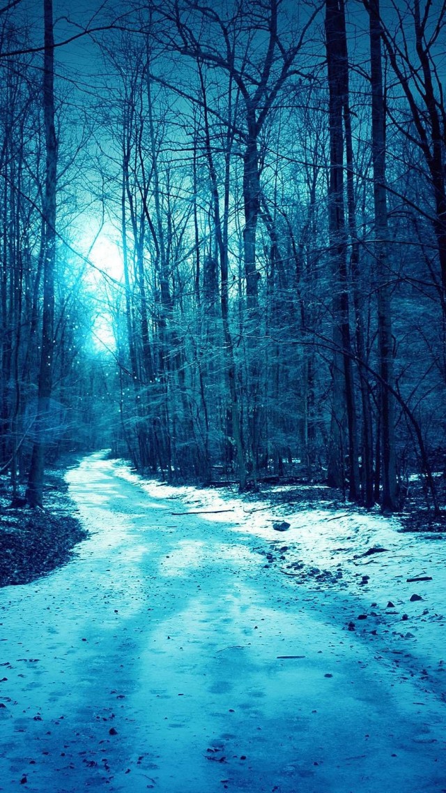 Winter Trees Roads iPhone 5s Wallpaper