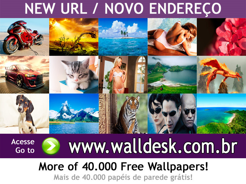  Virtual Resort Spring Break Games photo and wallpaper in WALLDESKNET