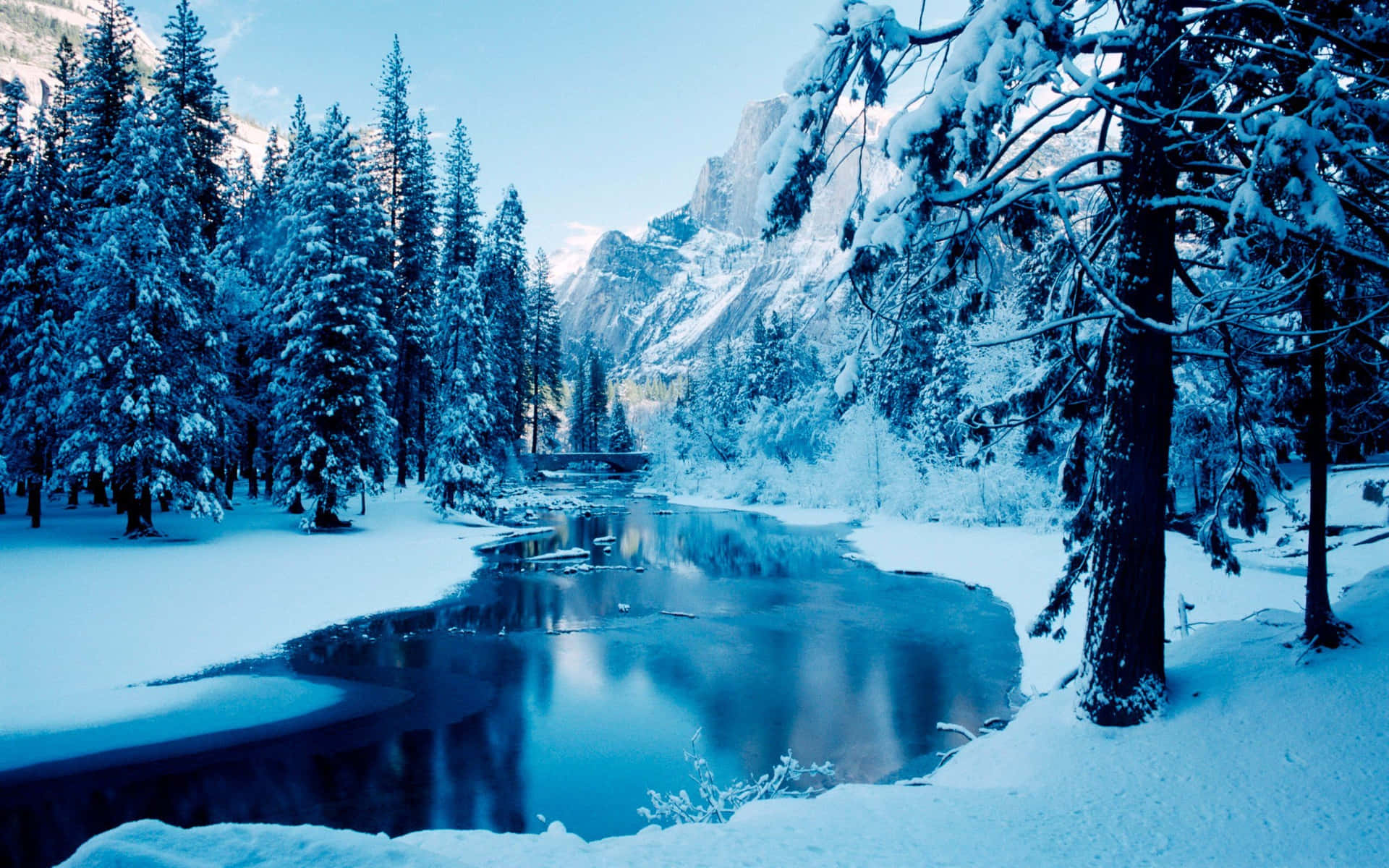 Frosty Morning In The Woods Wallpaper