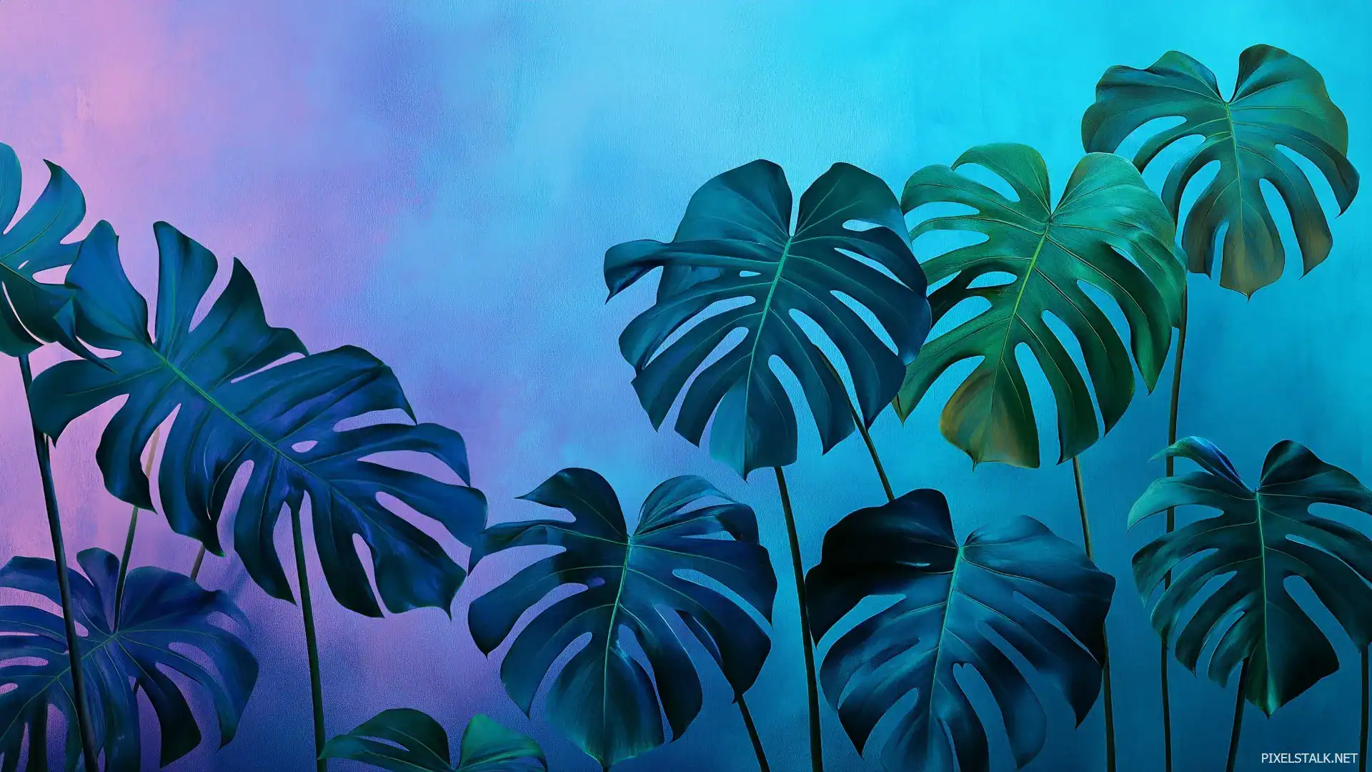 Tropical Leaf Wallpaper HD