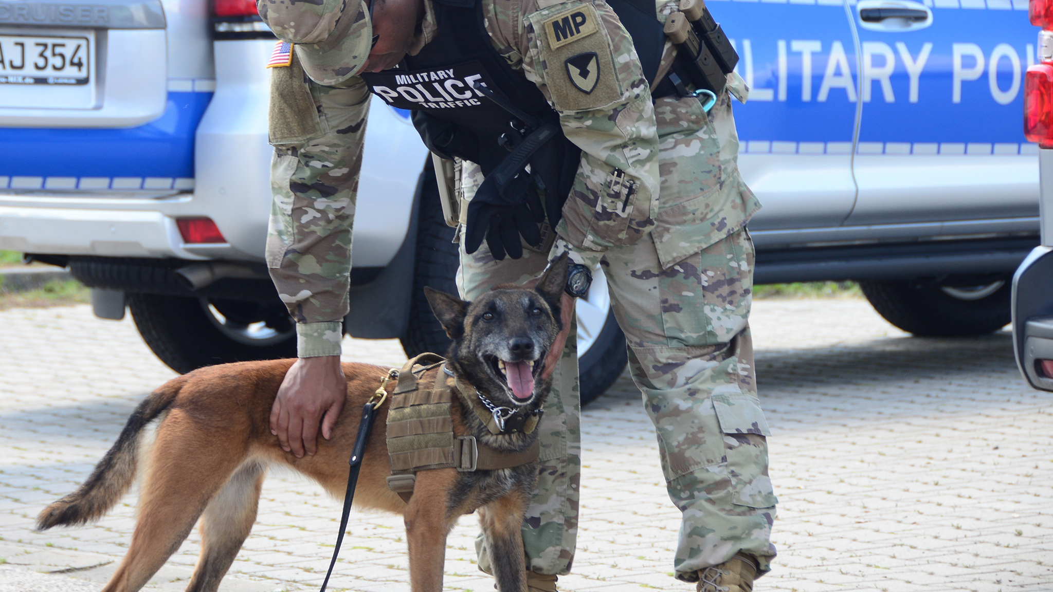 Military Working Dog Detachment Ansbach Germany