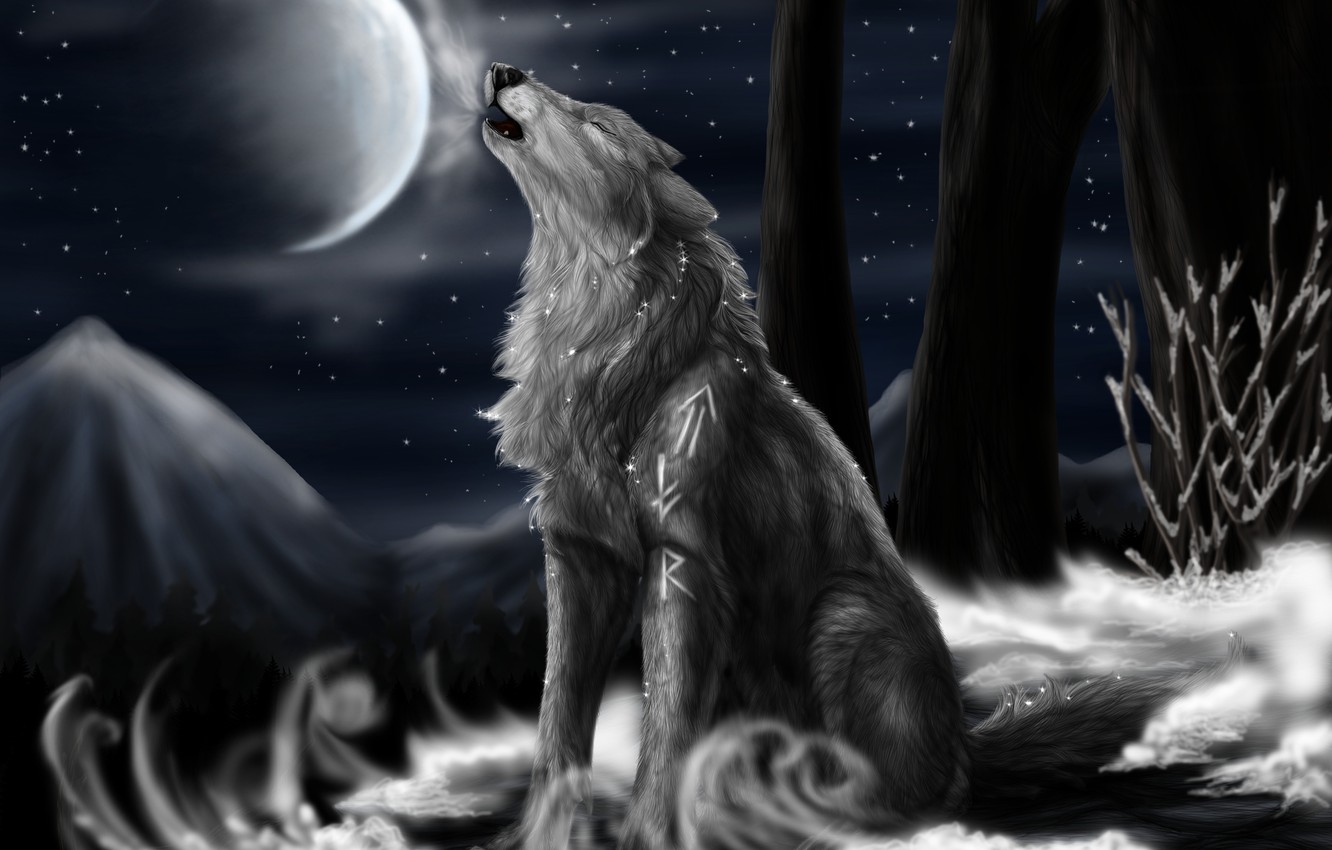Wallpaper night the moon stars Wolf North Howl images for