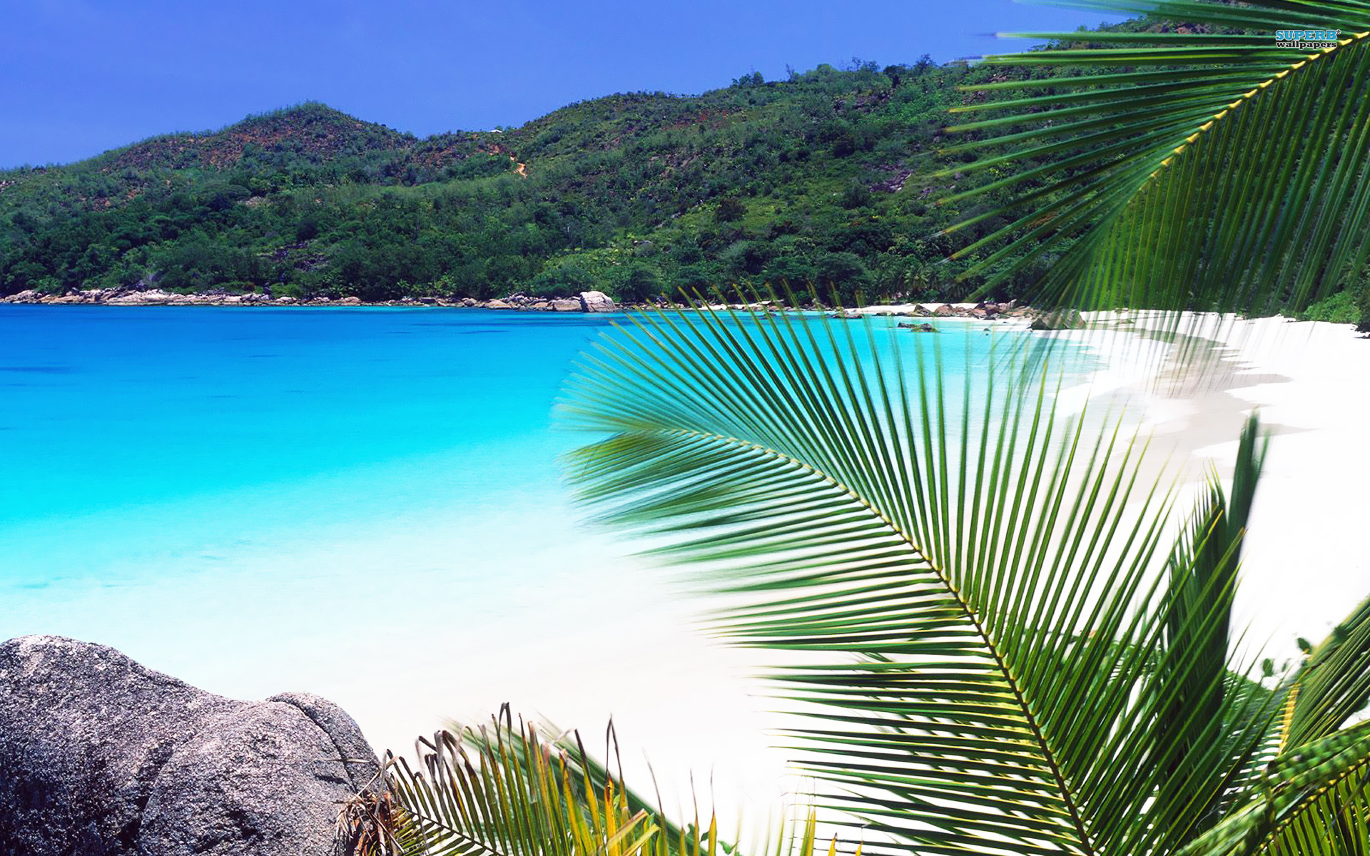 Dream Holidays In The Seychelles Indian Ocean