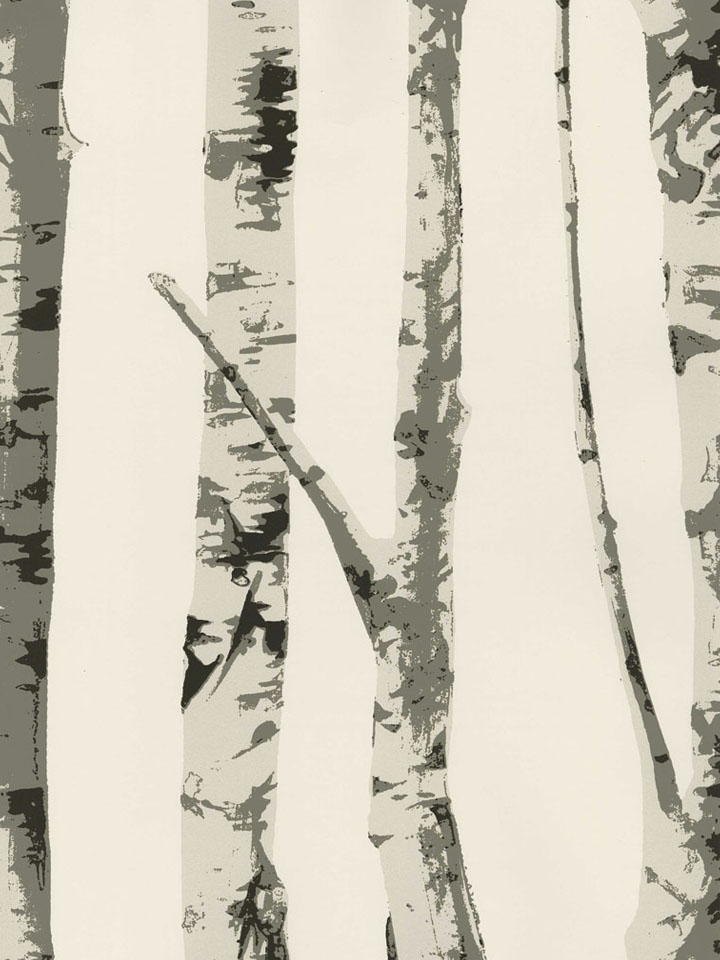 Black And White Birch Tree Wallpaper Whit